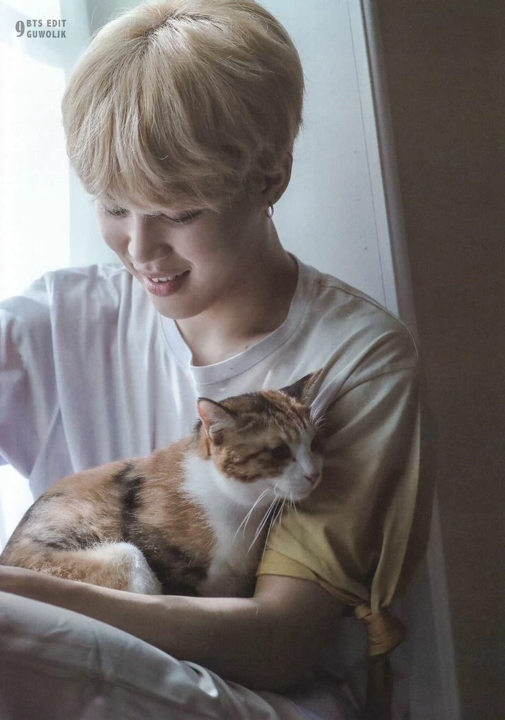 ◇J¡M¡N thumbnail