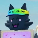 Gato