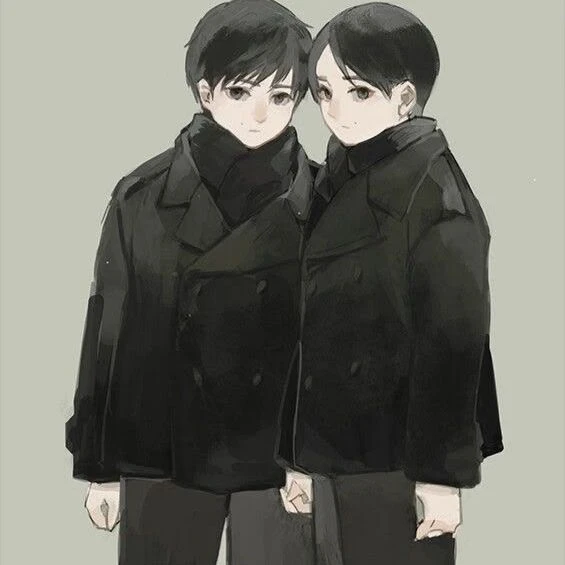 Luca and Nico twin brothers thumbnail