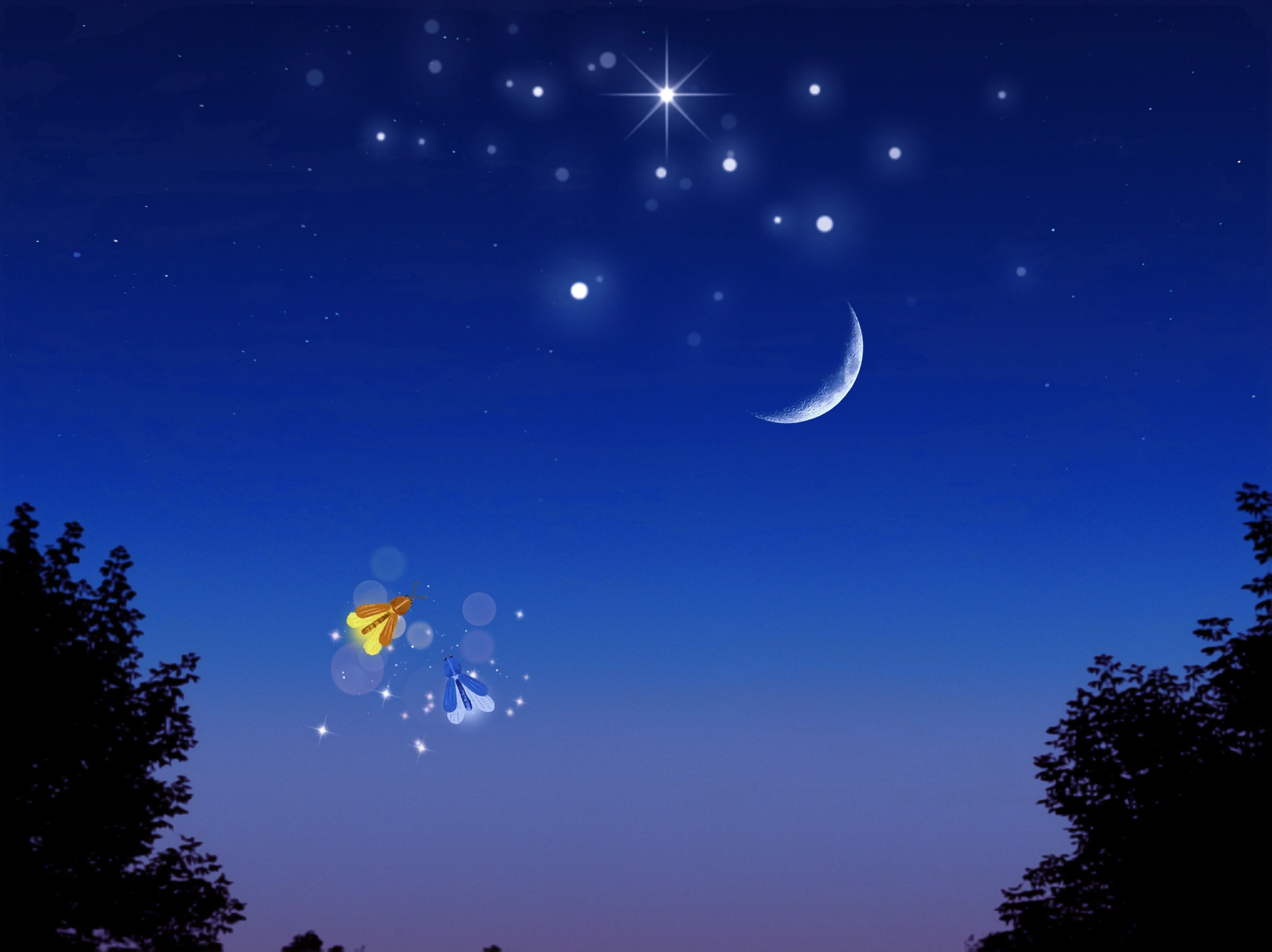 ★Blue Night★ thumbnail