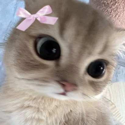 Wei Lie