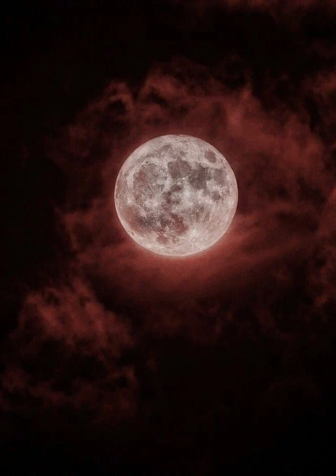 world of vampires thumbnail