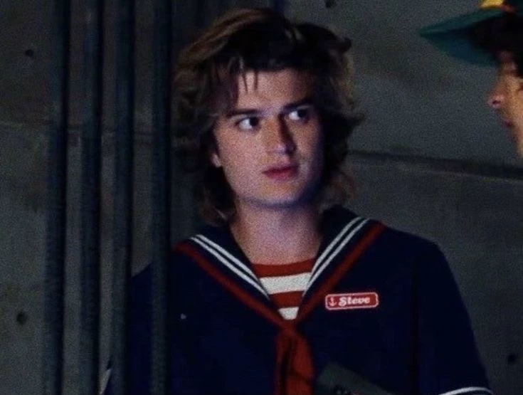 Steve Harrington thumbnail
