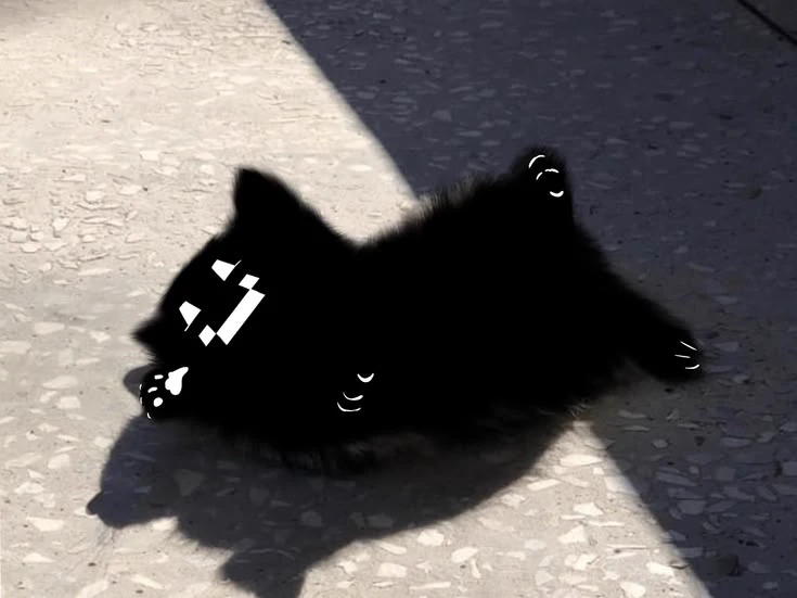 Twixxel thumbnail