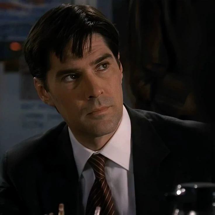Aaron Hotchner thumbnail