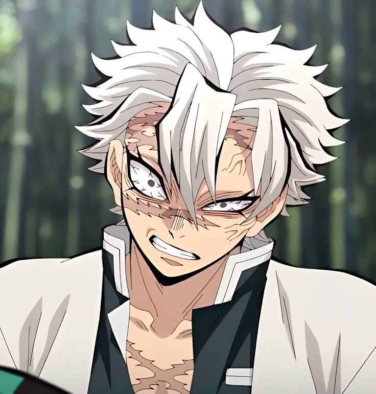 KNY - Sanemi Shinazugawa  thumbnail