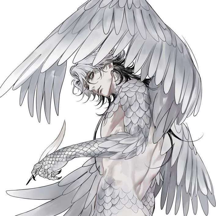 Aethan [BL] 𐔌bird hybrids𐦯 thumbnail