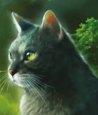 warrior cats thumbnail