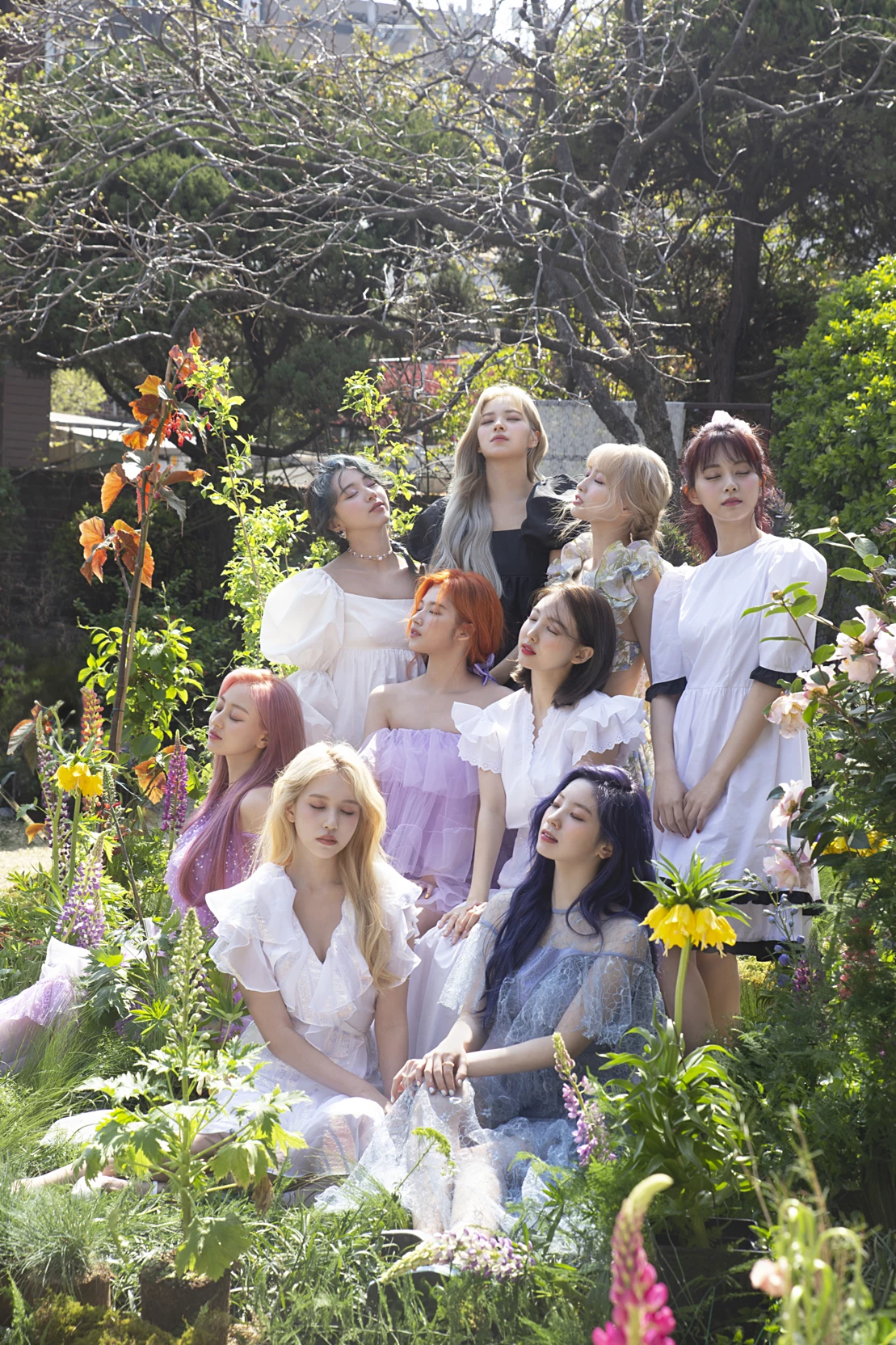 TWICE 🌸 thumbnail