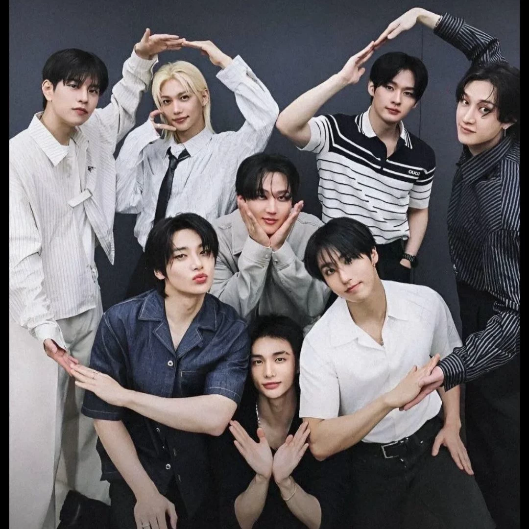 Stray kids 🩷 🩶 thumbnail