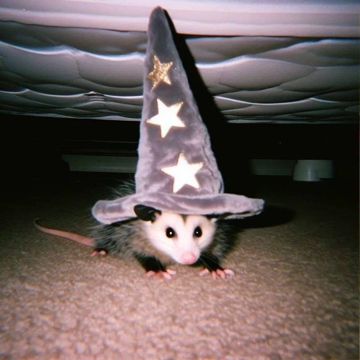 Jesse