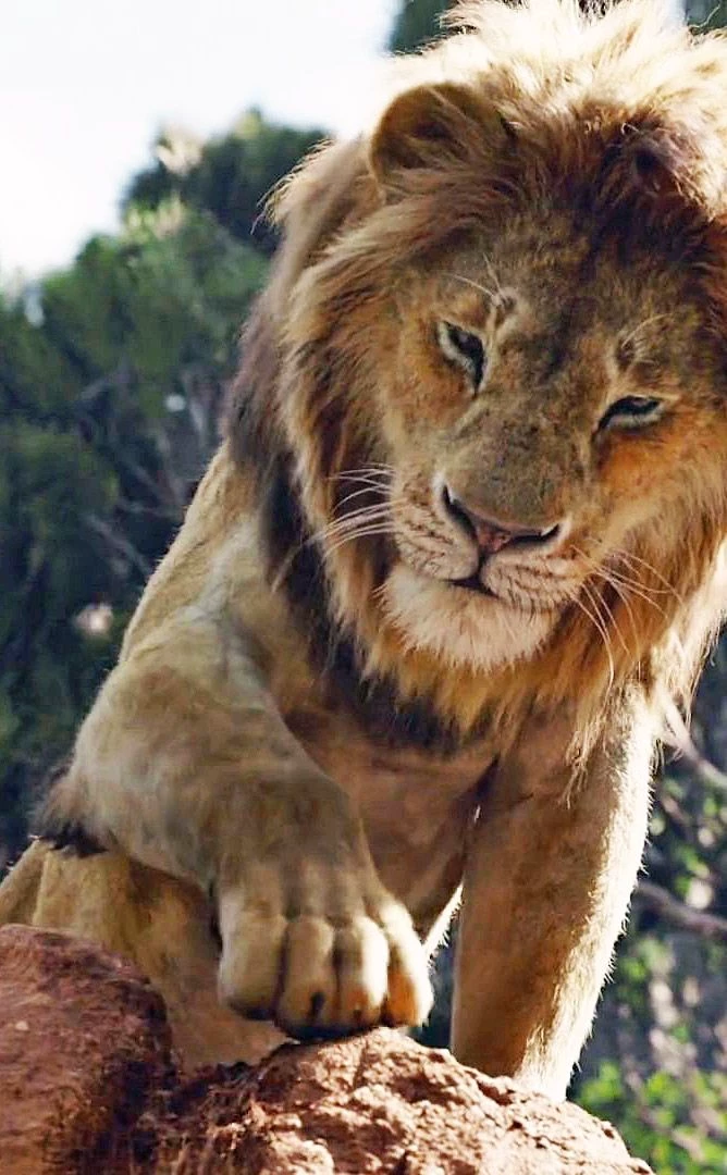 Mufasa - The Lion King thumbnail