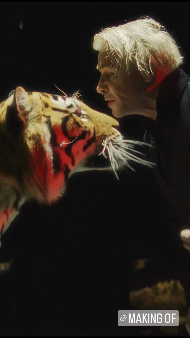 Echoes of Fire and Claws - Till Lindemann thumbnail