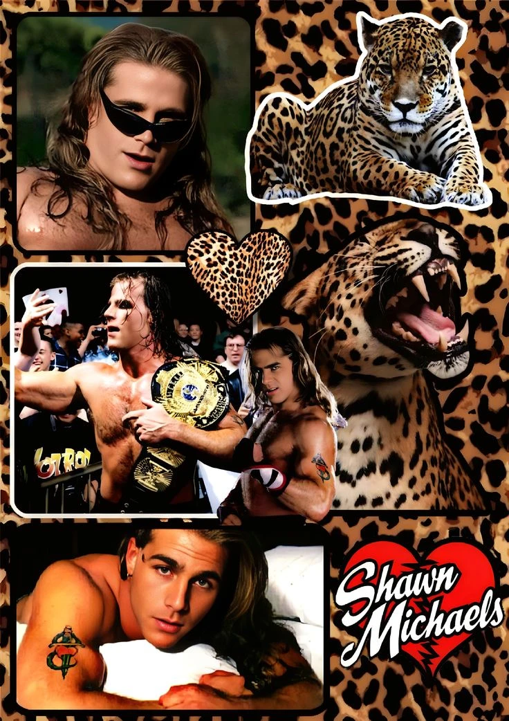 Shawn Michaels  thumbnail