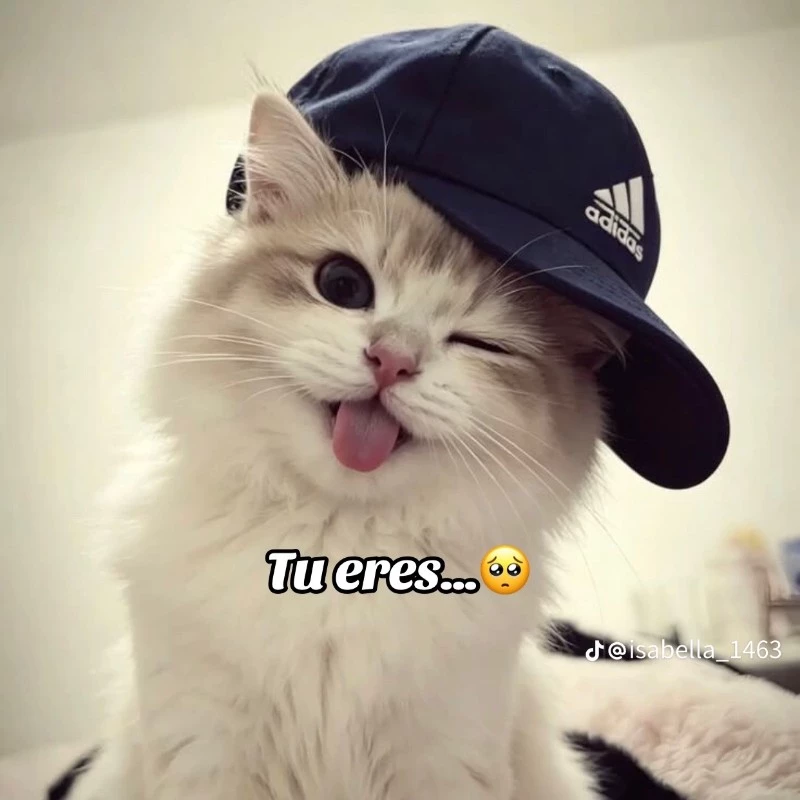 ⭐𝒜𝓁𝑒🌟
