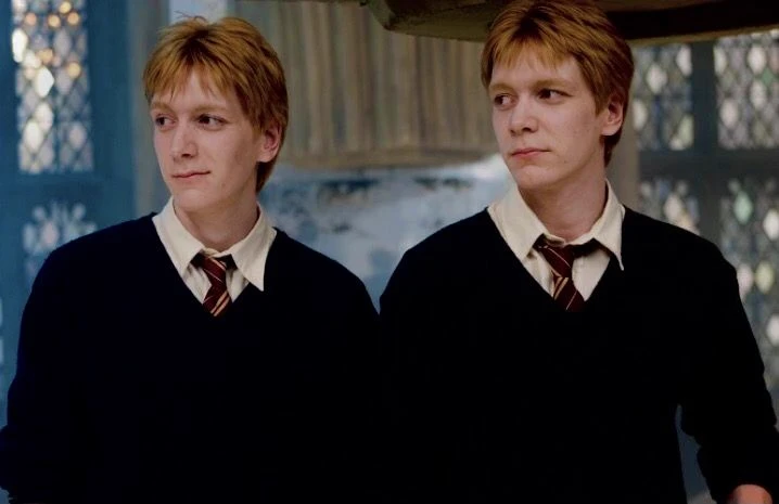 The Weasley Twins thumbnail