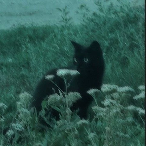 başak