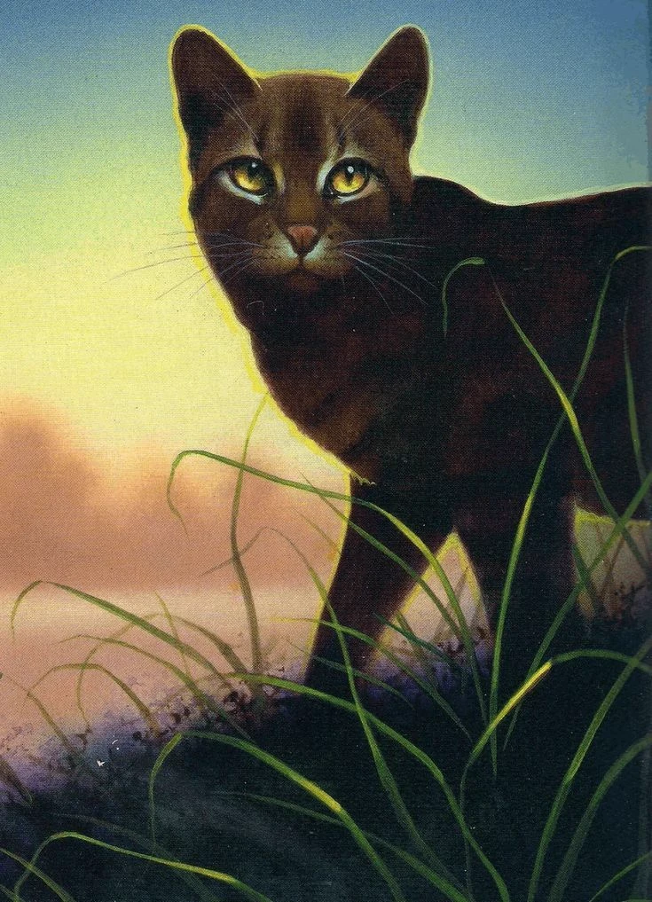 Warrior Cats (PT-BR 🇧🇷) thumbnail