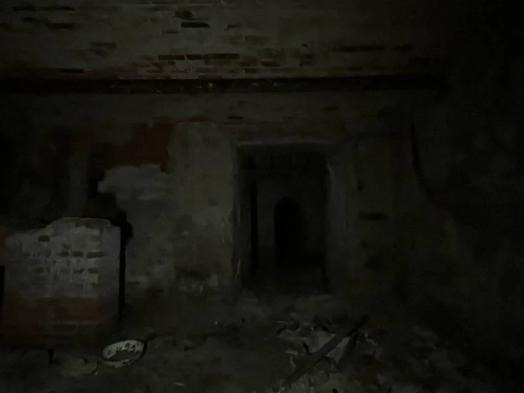 Aria psychopathic family thumbnail