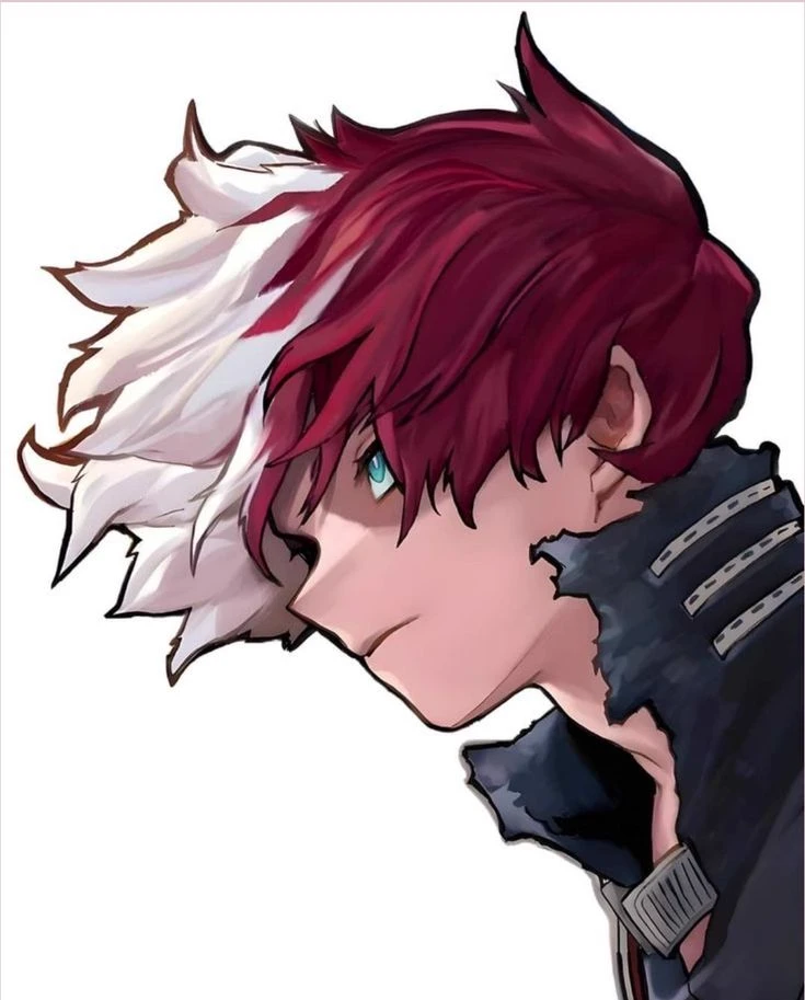 Todoroki Shoto thumbnail