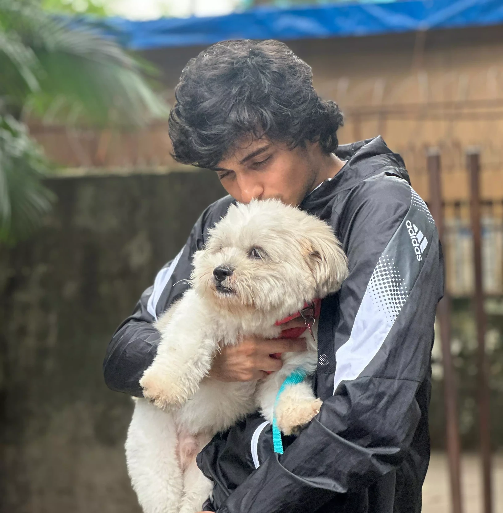 Abhay Verma (Dhali) thumbnail