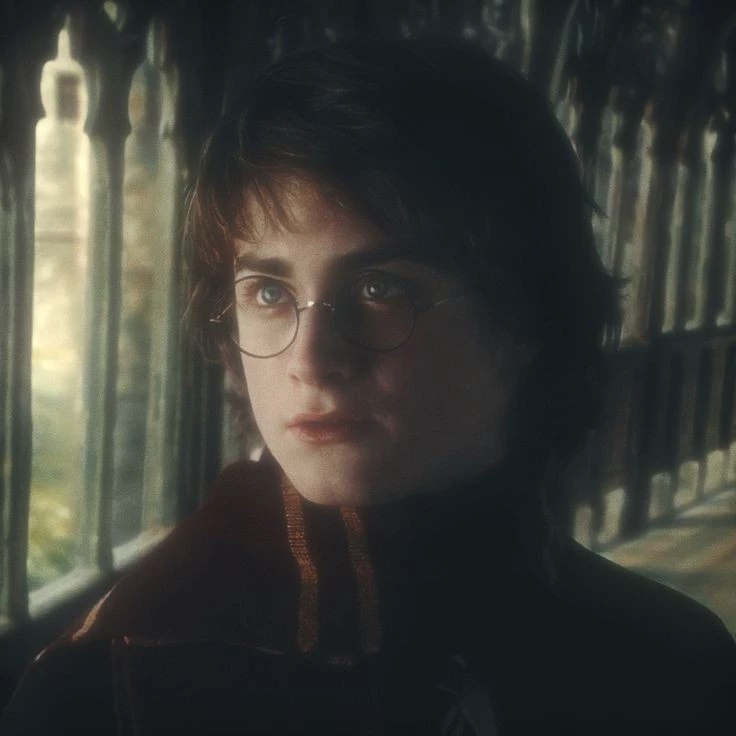 Harry James Potter