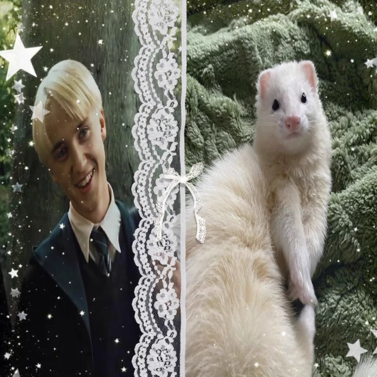 Draco Malfoy thumbnail