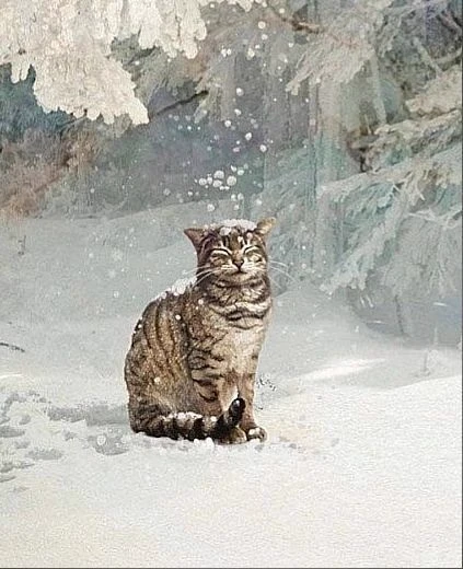 Cat Life thumbnail