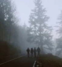 Zombie apocalypse - 2 thumbnail