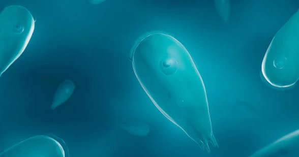 Parasite thumbnail