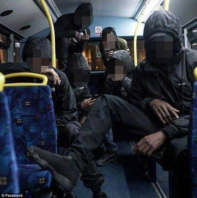 hooligans in the night minibus thumbnail