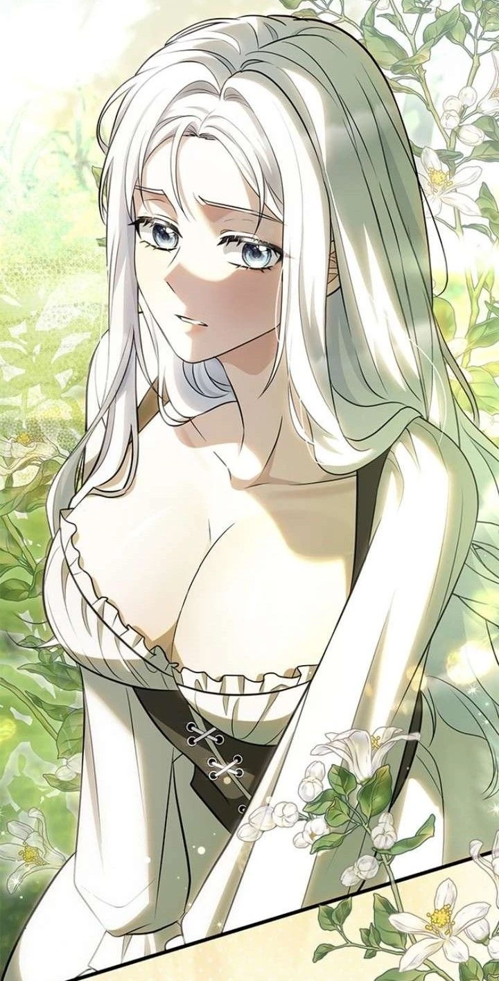 Elenia thumbnail