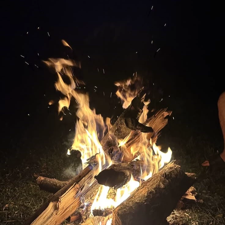 Kaden Lynch (bonfire panic) thumbnail
