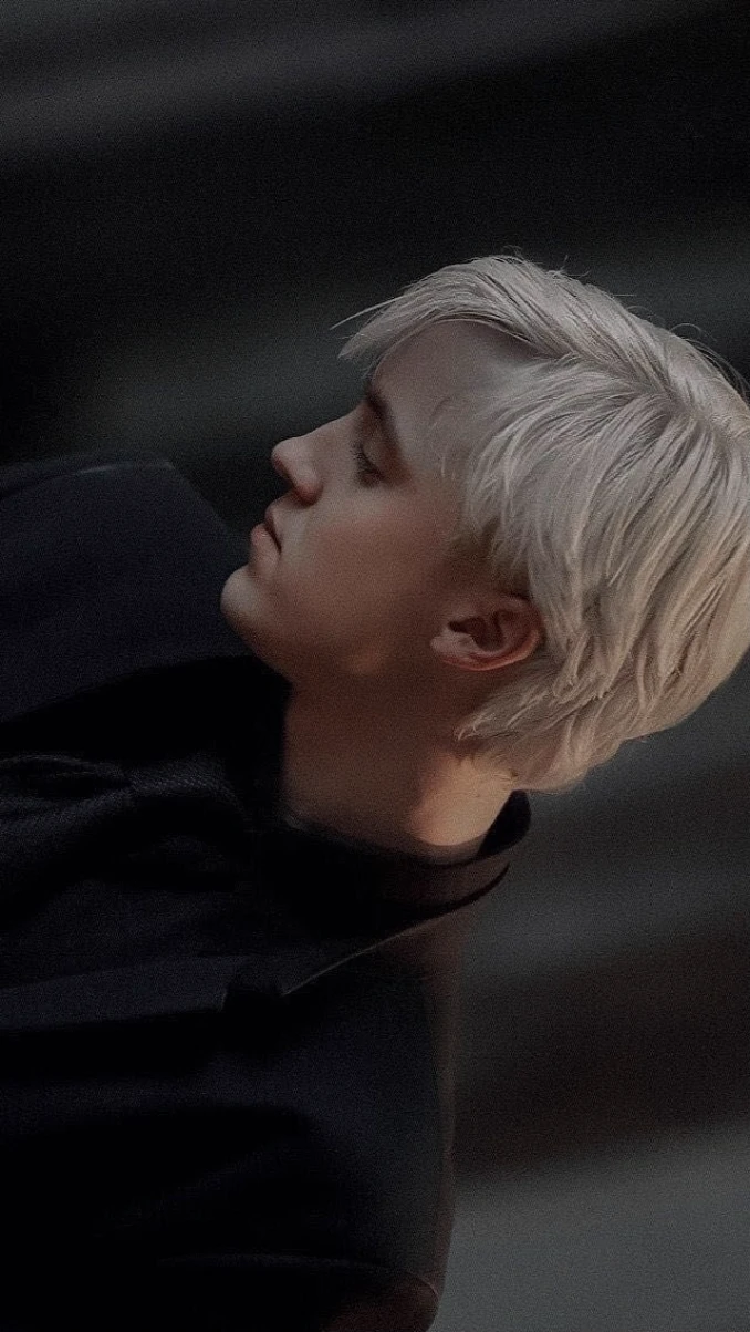 draco Lucius malfoy (your secret husband 💍) thumbnail
