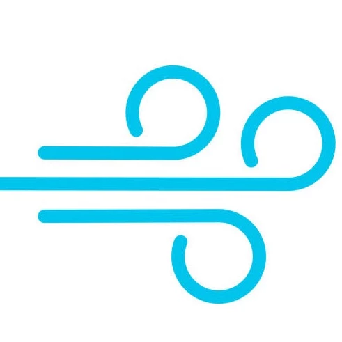 ryojo