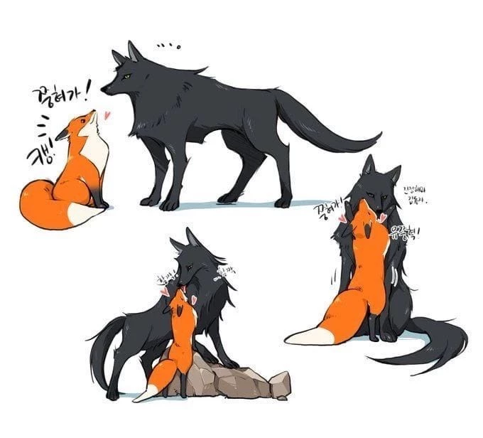 • A Wolf falls in love with a little fox • thumbnail