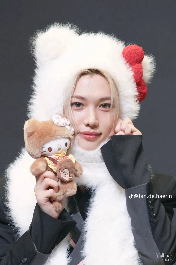 ·˚ ༘₊· ͟͟͞͞꒰➳ SKZ \| Straylix thumbnail
