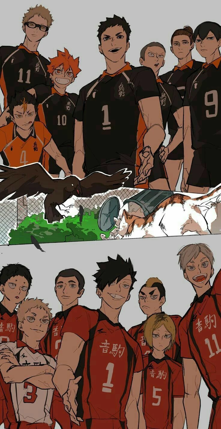 Haikyuu thumbnail