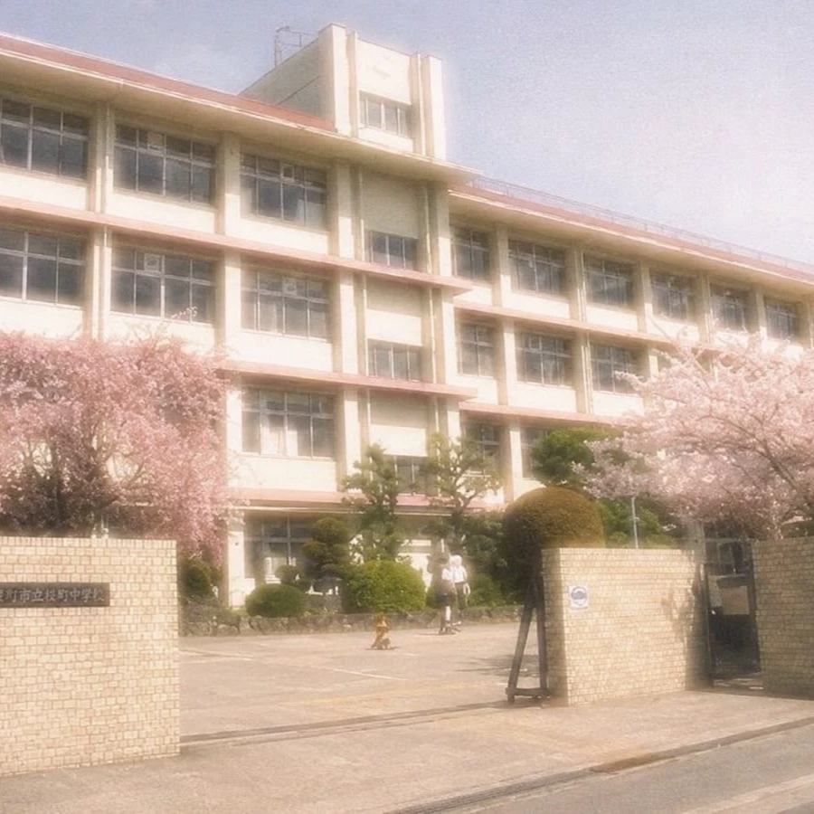 All girls school thumbnail
