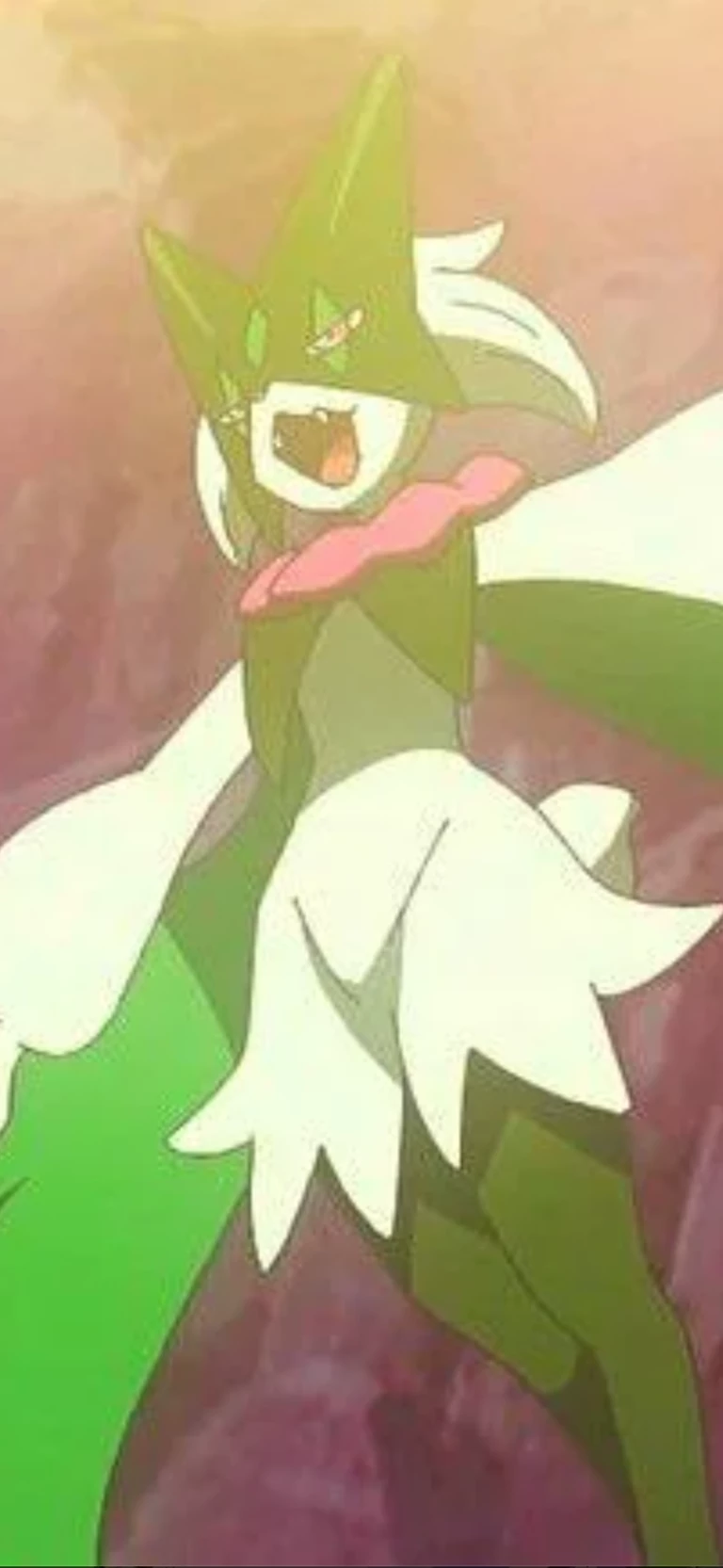 pokemon user thumbnail