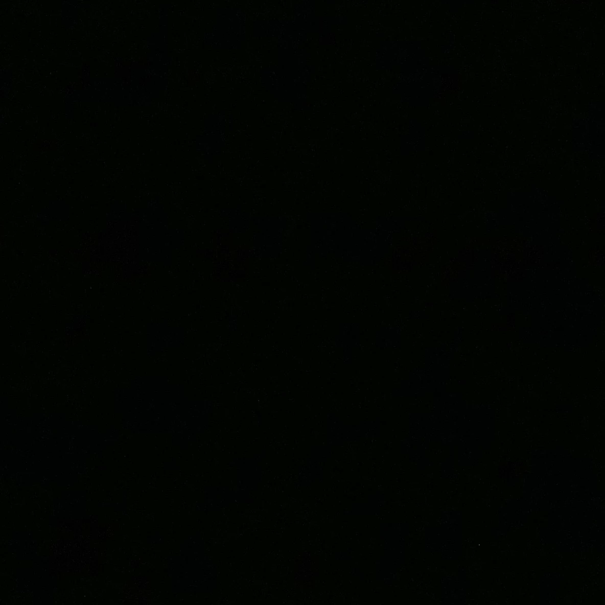 M.