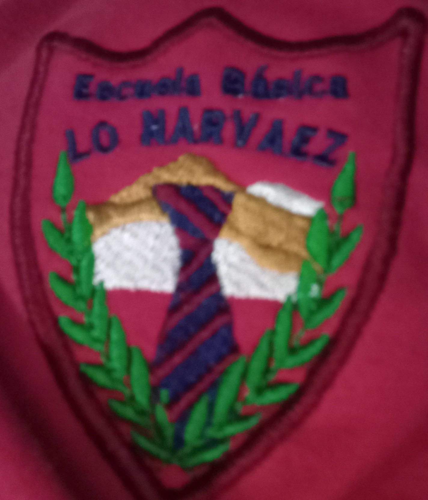 Narvaes School 5th grade! thumbnail