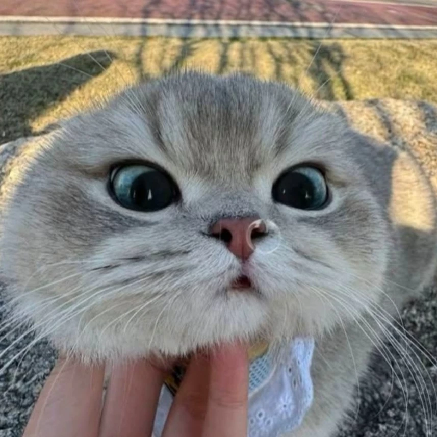 Veyaa