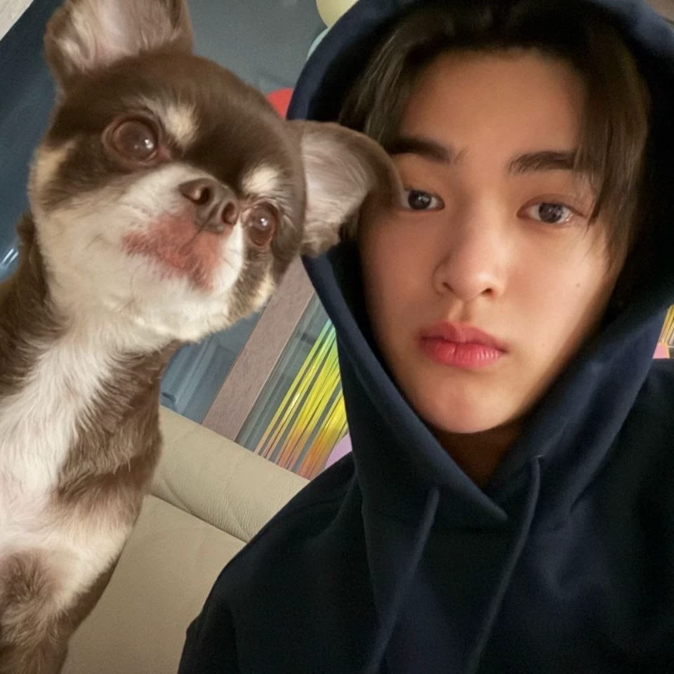 Ahn Keonho thumbnail