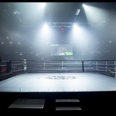 wrestling company thumbnail