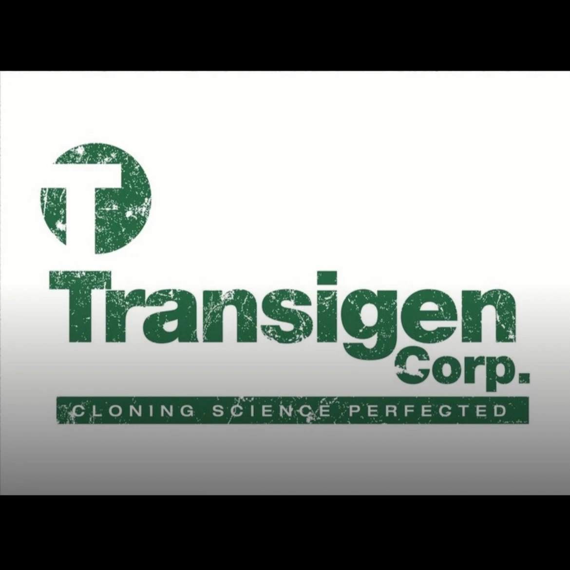 Transigen  thumbnail