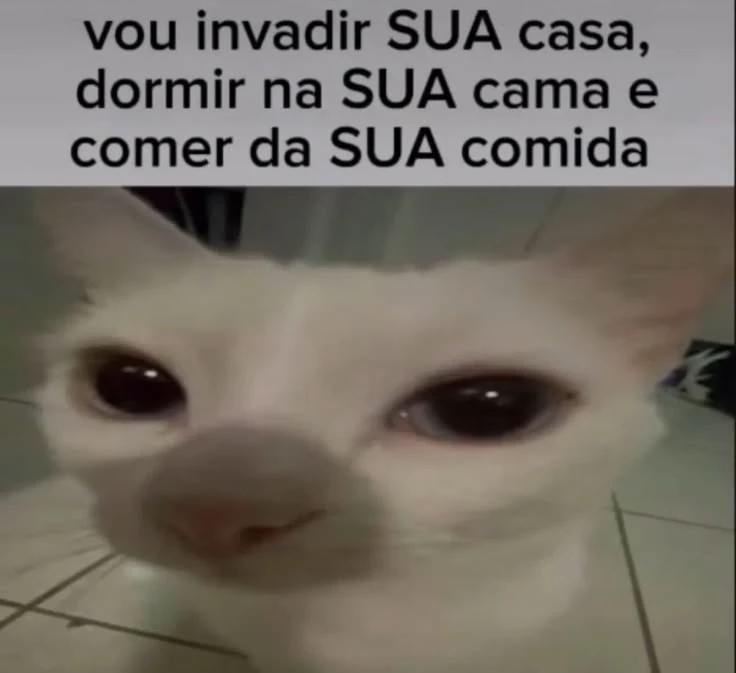 I will invade YOUR house, sleep in YOUR bed and eat YOUR food thumbnail
