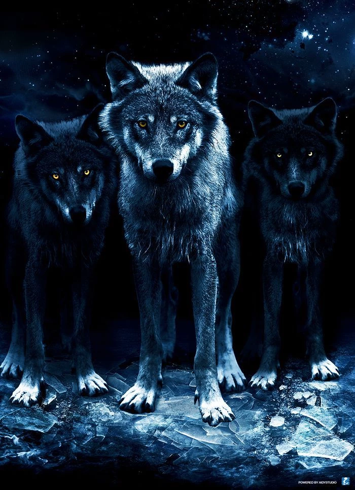 The Pact with the Wolves thumbnail