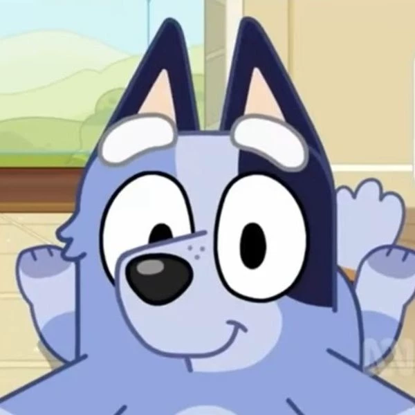 Socks thumbnail
