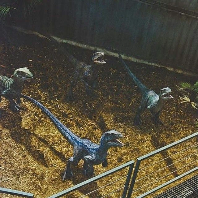 Raptor pack(jw) thumbnail
